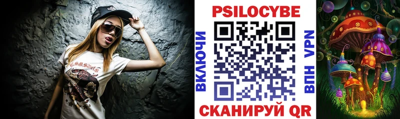 площадка состав  Магнитогорск  Галлюциногенные грибы Cubensis 